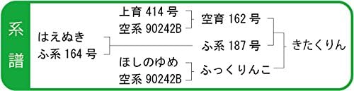 北海道産 きたくりん 玄米 30kg 【INAICHI】 農薬節減米