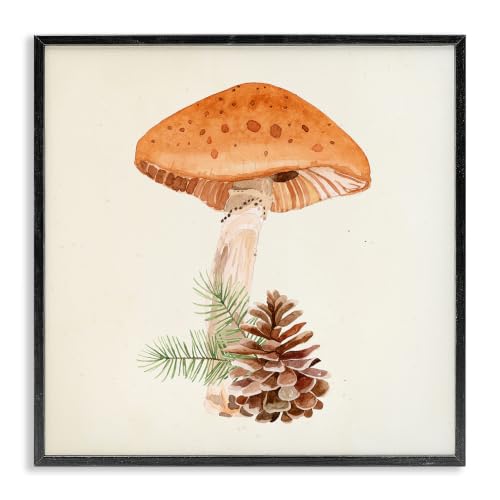 Mushroom Pinecone Botanical Still Life, 24 x 24 Inch Framed Giclée Print