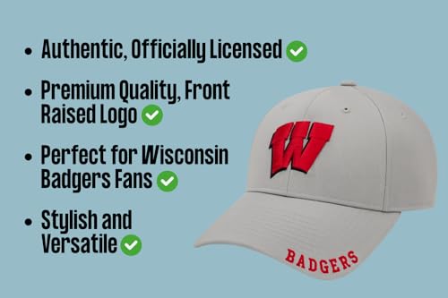 Gorra deportiva ajustable Wisconsin gris/roja bordada miniatura 7