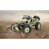 reely elektro buggy  Reely 1:10XS Elektro Desert Climber LED 4WD