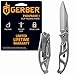 Gerber Paraframe I Knife, Fine Edge, Grey [22-48446]