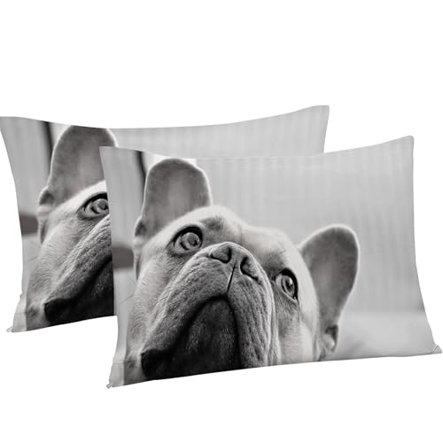Housse couette en microfibre douce 240 x 260 pour lit double thème bouledogue - 8