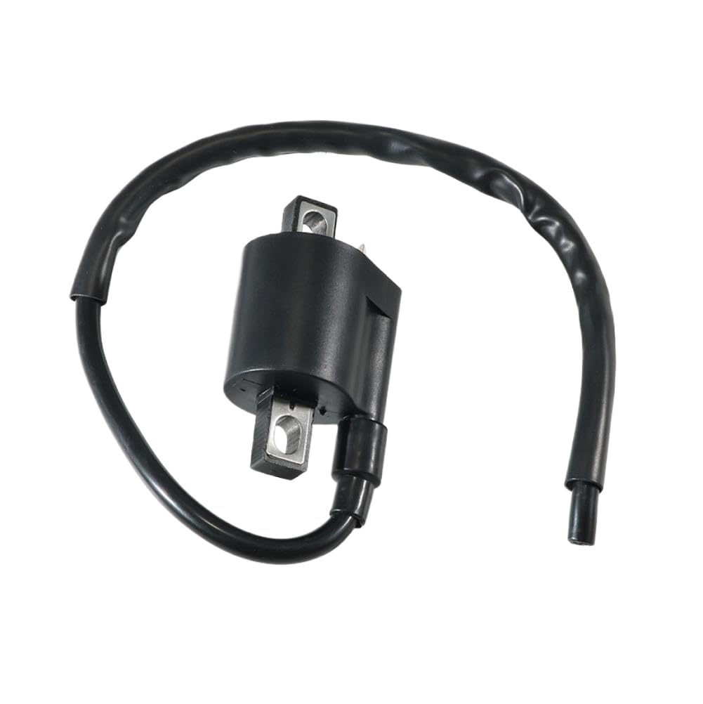 Bobine d'allumage Compatible With Suzuki LT-F160 LT160 LTF250