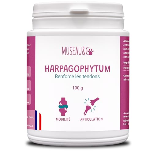 Museau & Co Harpagophytum para Perros y Gatos - 100gr - Antiartrosis, Antiinflamatorio, Cadera, Articulación, Cartílago, Movilidad - Alivia Las Articulaciones Fabricado en Francia.