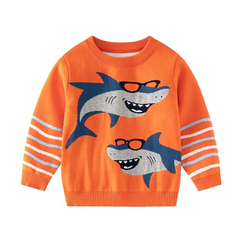 Baby Boys Fleece Sweatshirts Cotton Long Sleeve Crewneck Pullover Toddler Kids Winter Warm Shirt Sweater Tops