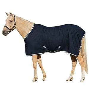 Horse Turnout Blanket Horse Clothing Winter Warmth Horse Care Rug Windproof Rainproof Snowproof Ripstop Horse Carpet (160cm)
