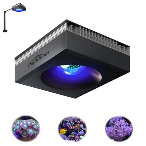 PopBloom - RL90 水族館光 の評価 | SHOPSTAFF