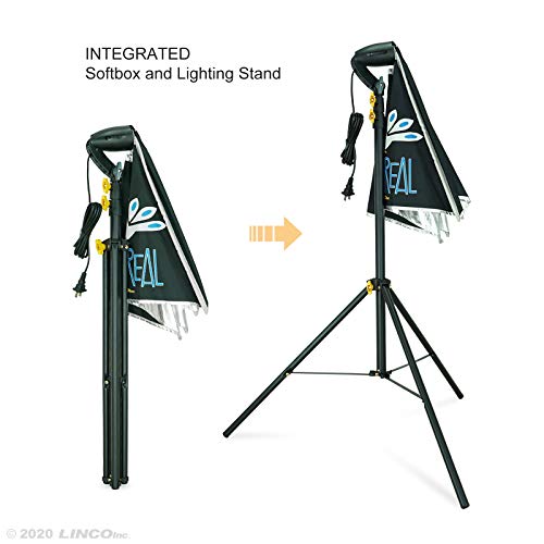 Image of LINCO Lincostore Studio Lighting Photography Light Equipment Continuous Photo Softbox Kit 16x 16 Inch with 2 Professional Portrait Bulb for Filming Video AM270