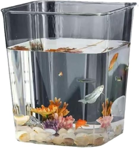 XoziloAN߂ϗtACeAe{EvX`bN|{eʂ߂ԕre[uك{E (Ƃ߂傭,XNFAV_i28.5*25cmj)