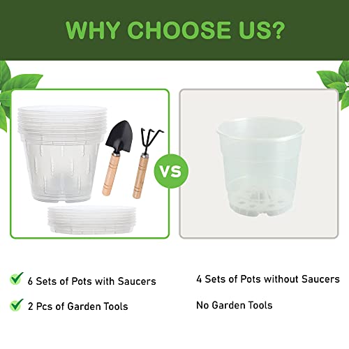 Bizesy Orchid Pot, 6 Pack 5.5 Inches Orchid Pots With Holes And Saucers, Breathable Clear Plastic Orchid Pots For Repotting With Garden Tools #TOP5