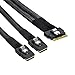 NFHK PCI-E Ultraport Slimline SAS Slim 4.0 SFF-8654 8i 74pin to Dual SFF-8087 Mini SAS Cable PCI-Express