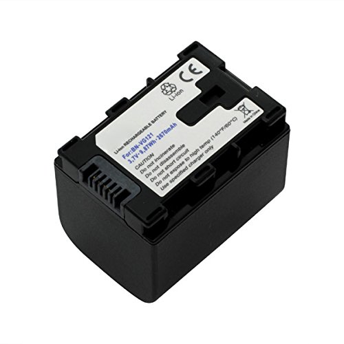 Batteria per JVC Everio roxs MS240