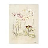 Trademark Fine Art Canvas Wall Art - Cheri Blum 'Orchids in Bloom II' Wall Art for Living Room, Bedroom, or Office Décor