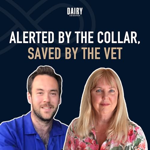 Episode 108 - Alerted by the collar, saved by the vet