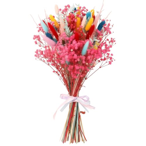 Bouquet de flores secas Pampas multicolor miniatura 3