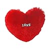 Eden Home Decor Red Heart Shape Plush Cushion Pillow for Couples | Valentines Day Gift for Husband / Wife / Girlfriend…