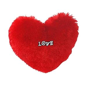 Eden Home Decor Red Heart Shape Plush Cushion Pillow for Couples | Valentines Day Gift for Husband / Wife / Girlfriend…