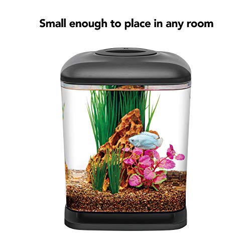 Aqueon Mini Cube Kit Black 1.6 Gallon 1.6 Gallons #TOP3