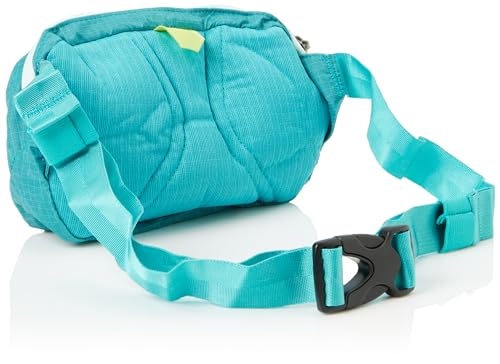 Compact Patagonia Mini Hip Pack in Subtidal Blue