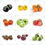 500 Semillas De Tomate, Semillas De Tomate Semillas De Hortalizas Variedades Antiguas Tomates Semillas Orgánicas Frescas, Cubierta De Suelo De Jardín De Balcón Semillas Orgánicas Perennes Re