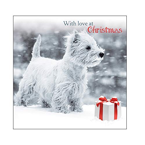 Quayside Cards Snowy Westie Charity Christmas Cards - Pack of 10,grey|red|blue|silver|white,105mm x 105mm