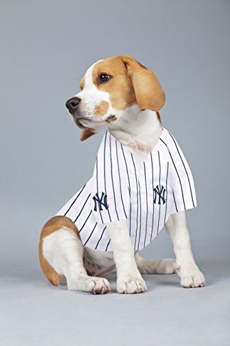 Image of MLBPA Dog Jersey - Giancarlo Stanton #27 Pet Jersey - MLB New York Yankees Mesh Jersey, X-Small