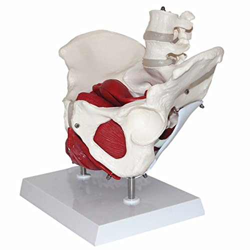 Infinite Switch for Belleco - Part# 401101