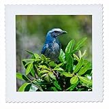 Square dimensions (in inches): 6 L x 6 W, image dimensions (in inches): 4 L x 4 W 100% poloyester; image is soft to touch. Made in USA Edges have pinking shear cut Image will not fade with washing. Image not a transfer, part of material