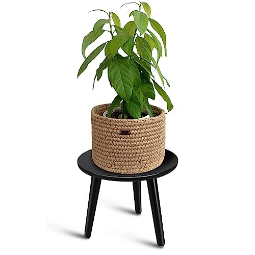 Progarden Support de Plantes en Bambou Design Courbé