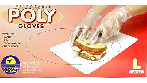 500 Large Size Disposable Poly Gloves, Powder Free, Smooth Touch, Food Service Grade, Polyethylene, Non-Sterile
