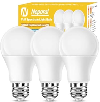 Natural Spectrum Light Bulbs That Will Transform Your Space Today 1 natural spectrum light bulbs
