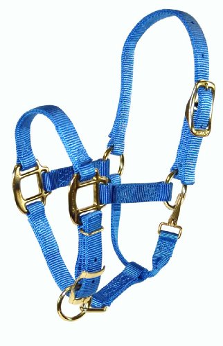 Hamilton 3/4" Adjustable Quality Pony Halter with snap, berry blue