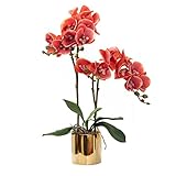 Artificial Orchid Flower Plants Real Touch Faux Orchids in Ceramic Vase Realistic Fuchsia Phalaenops