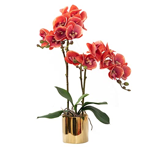 Artificial Orchid Flower Plants Real Touch Faux Orchids In Ceramic Vase Realistic Fuchsia Phalaenopsis Orchid Fake Flower Arrangement Centerpiece Table Decorations Vivid Plants For Home Indoor Decor #TOP5