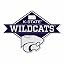 Kansas State Wildcats - KSU Diamond