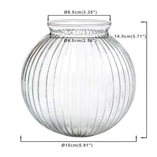 Image of Yosoan 1-Light Striped Round Glass Replacement Shade Lamp, Clear Globe Lampshade 1 Bulb for Wall Sconce Hanging Pendant Light Ceiling Light for Living Room Kitchen Bedroom Bedside Hallway Stairwell