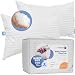 Continental Bedding SP100-Q.2 Set of 2-Superior 100% Down 700 Fill Power Hungarian White Goose Down Pillow. Queen Size