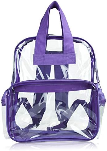purple clear backpack