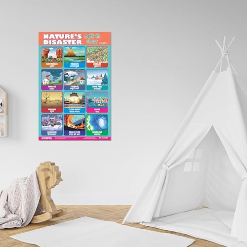 Image of ESCAPER Nature's Disaster Educational Charts, (11.5 x 17.5 inches), 300 GSM Paper, Laminated, Self Adhesive Back, Kids Study Material, Learning Posters, Perfect For Home Schooling, Nursery Students