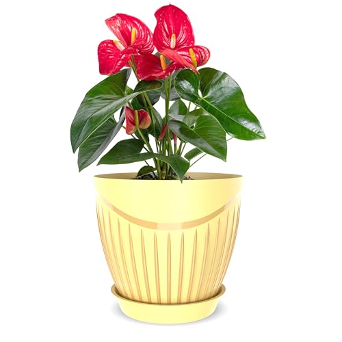 Image of ELUVIA Plastic Plant Pots with Drainage Holes and Trays - Set of 5 (6 Inch) - Minimalist Decorative Indoor Flower Pots for Living Room, Balcony & Office Garden (Yellow)