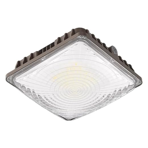 60W LED Canopy Light 9000LM