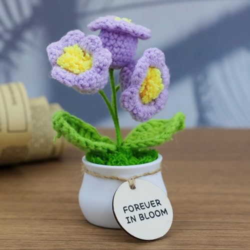 MSEHKM Encouragement Crochet Flowers with Positive Wooden Affirmations