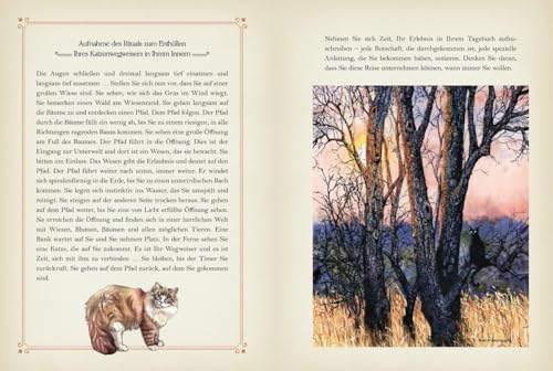 Katzenmagie: Entdecken Sie die magische Kraft der Katzen: Katzenmagie. Entdecken Sie die magische Kraft der Katzen. Spannendes zu Mythen, Legenden und ... Raubkatzen. Mit Ritualen, Fantasiereisen uvm.