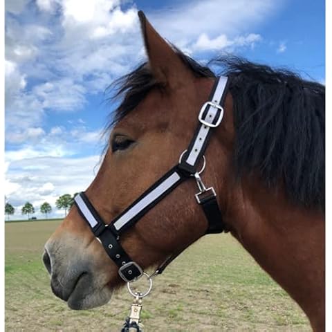 Halter for Horses Cold Blood Headcollar XXL Stable Halter Adjustable 2 Compartments on Chin Strap and Headpiece (Black/White, XXFull (Cold-Blood) Cover