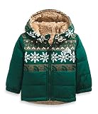 THE NORTH FACE Infant Reversible Mount Chimbo Full Zip Hooded Jacket, Night Green Halfdome Fairisle