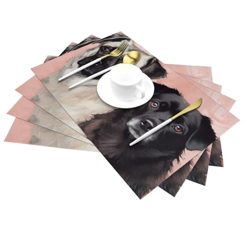 Sets de table de cuisine lavables lot de 4 pour protéger de la chaleur - 4