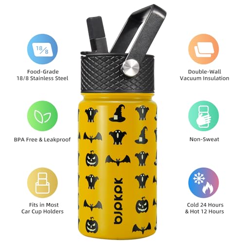 Image of BJPKPK Insulated Water Bottle, 15oz Stainless Steel with Straw Lid