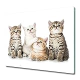  Tulup Planche À Découper 60x52cm Protection Plaque Couvercle Cuisinière à Induction Cuisine Verre Trempé Panneau de Protection - Les petits chats