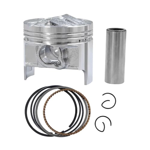 I[goCANZT[ sXgO tLbg GSX250R GJ72A GJ73A GJ74A GSF250p(Piston Kit 49mm)