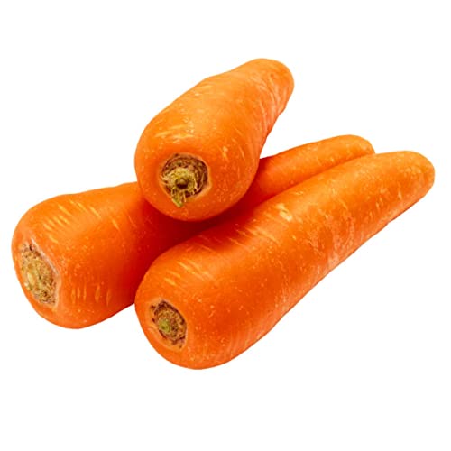 Sementes de Cenoura Brasília Calibrada Média (50g) ISLA